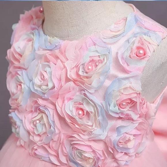 Luxury Embroidered Flower Girl Piano Dress Princess Birthday Wedding 5055 - Picture 4 of 16
